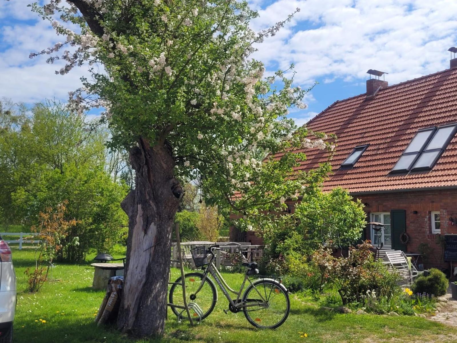 Seminar Und Landhaus Schoenbeck Schonbeck  Luaran gambar