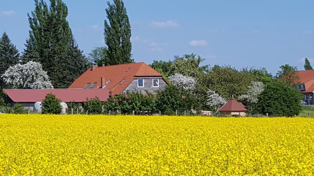 Seminar Und Landhaus Schoenbeck Schonbeck  Luaran gambar
